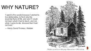 By Allie Nelson I Went To The Woods