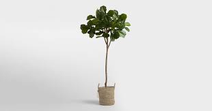 A wide variety of baltic brown bathroom vanity top options are available to you, such as project solution capability, design style, and warranty. Why Fake Plants Flowers Are Coming Back To Home Decor