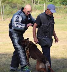 Le Centre D Education Canine Ouvre Ses Portes