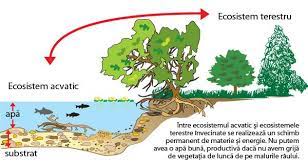 Posted by ross on friday, december 14, 2018 · leave a comment. Echilibrul Ecologic Enciclopedia Naturii