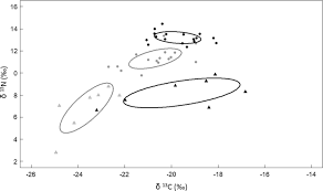One case in which round goby are negatively impacting native fish species is that they compete with native fish, such as sculpins (sea grant. The Food Web Positioning And Trophic Niche Of The Non Indigenous Round Goby A Comparison Between Two Baltic Sea Populations Springerlink