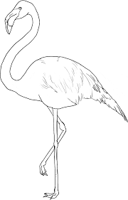Free printable zentangle flamingo coloring pages for adults and teens. Flamingo Coloring Page Flamingo Free Printable Coloring Pages Animals