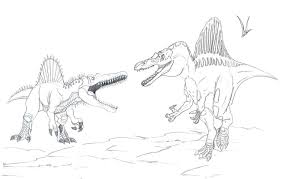 Pin By Illustration Designer On Spinosaurus Coloring Pages Dino Themes Spinosaurus Dinosaur Coloring Coloring Pages