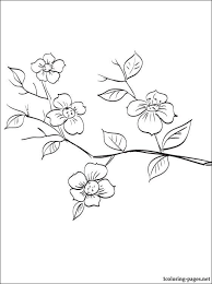 Flowering Fruit Tree Branch Coloring Page Coloring Pages Blossom Tree Tattoo Tree Coloring Page Flower Coloring Pages