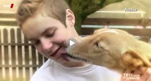 Jetzt müssen wir uns eine eigene schüssel kaufen und dann. Ein Toller Beitrag Zum Hundefuhrerschein Fur Kinder Tina Macht Schule