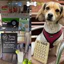Dog Bar St Pete (@dogbarstpete) • Fotografije in videoposnetki v ...