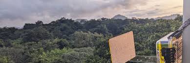 Digital Naturalism Laboratories (@dinalab.bsky.social) — Bluesky