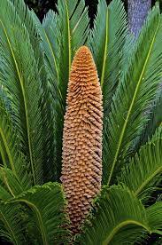 Maybe you would like to learn more about one of these? Pin On Nature No Animals No Man Made Structures