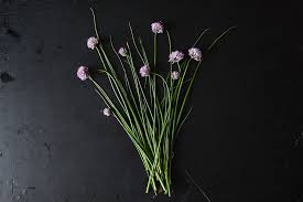 You can simply puree virtually any green herb (from chives to parsley, basil, oregano, cilantro, arugula, sage, and even. Everything You Need To Know About Chives Herbs 101