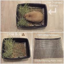 Maybe you would like to learn more about one of these? Marbee Moo Olive Taffy On Instagram This Is Not Necessary But Some Might Find It Useful This Is What We Use Pet Bunny Rabbits Bunny Care Bunny Care Tips