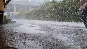 Das unwetter brachte neben starkregen und. Iuhjusfvbxqeem