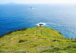 愛媛の最南端へ行ってみた 美しい石垣の集落と 絶景スポット 高茂岬 愛媛 観光 絶景 美しい風景