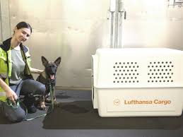 Puppy transporters based in the eastern us. Live Animals Lufthansa Cargo