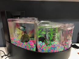 Aqueon led minibow aquarium starter kits Aqueon Betta Falls Aquarium Black Walmart Com Walmart Com