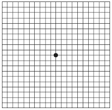 Amsler Grid Test Retina Ophthalmology Gettysburg Pa