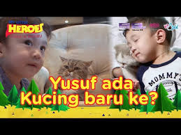 Game show raya oh raya adalah terbitan associate media network untuk rtm semasa hari raya aidilfitri 2016. Mat Yip Shaheizy Sam Dan Arif Jiwa Asyraf Terima Misi Pilih Baju Raya Oh My Family Raya Litetube