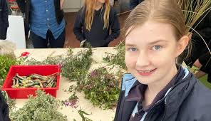 Hearts News (Week 4, Thursday 25 May 2023)