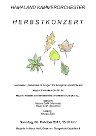 Lisateavet stiftung haus hall kohta leiate veebisaidilt www.haushall.de. Herbstkonzert Haus Hall Oktober 2017 Hamaland Kammerorchester