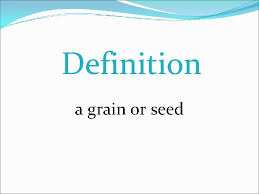 The small hard seedlike fruit of plants such as wheat. Sat Vocabulary Words Yearling Definition Young Animal Past