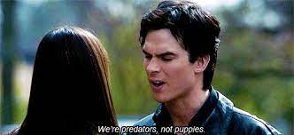 Ian Somerhalder S Quotes The Vampire Diaries Gif Wifflegif