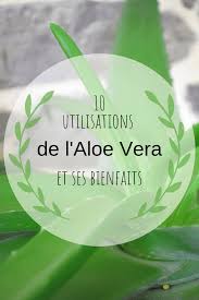 Les Differentes Utilisations De L Aloe Vera Et Ses Bienfaits Naturalremedies Adolescent Health Natural Remedies For Stress Natural Remedies Remedies