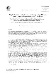 Image result for Cyphostemma crotalarioides