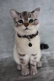 Cuttie The Kitten Beautiful Ccp Katzen Filztiere Baby Katzen