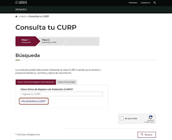 Consultar curp en renapo / pgr. Busca Tu Curp Por Nombre Y Apellido Citas Y Tramites En Mexico 2021