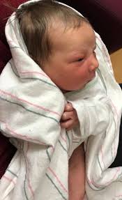 GingerSnap Visions -...