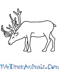 Digital download in png, eps, jpg format. How To Draw A Reindeer