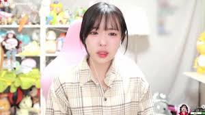 BJ잼미 모녀 죽게 만든 네티즌들 처벌해주세요 (청원) | 디스패치 | 뉴스는 팩트다!