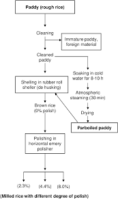 flow chart for rice milling download scientific diagram