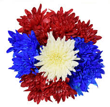 Send flowers same day across canada with canada flowers, canada's national florist. Wedding Flowers Wholesale Flowers Bulk Flowers Flowers Near Me