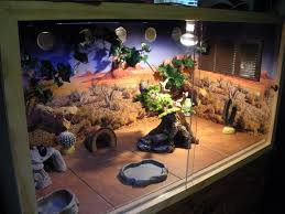Your bearded dragon will need a high temperature basking spot, and a cool spot. Smart Idea Bearded Dragon Terrarium Decor Ideas