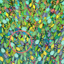 Printable hidden picture puzzles are also available for the classroom or for those who prefer solving these puzzles on paper. Test Find The Hidden Objects In These 15 Images
