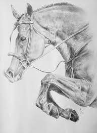 Horse Pencil Drawing By Arion Megid Khedhiry Horse Drawings Horse Pencil Drawing Horse Art Print