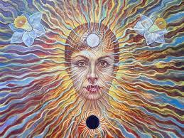 Amanda Sage's Instagram, Twitter & Facebook