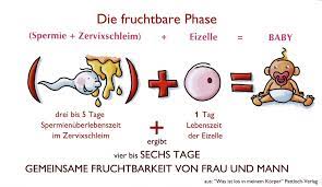 Da die spermien bis zu fünf tagen befruchtungsfähig sind, beginnen die fruchtbaren tage bis zu fünf tage vor dem eisprung. Die Fruchtbaren Tage Mfm Deutschland E V