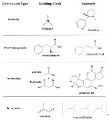 Ch105 Chapter 6 A Brief History Of Natural Products And