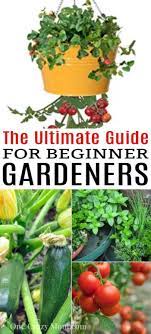 Gardening For Beginners Vegetable Gardening For Beginners Vegetable Garden For Beginners Gardening For Beginners Starting A Garden
