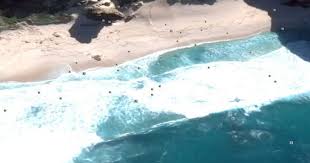 Nasa ve google earth aracılığıyla uydu görüntülerini incelediğini belirten 64 yaşındaki mcmahon, kayıp uçak mh370'in mauritius'un kuzeyindeki round adası yakınlarında mcmahon konuyla ilgili basına verdiği demeçte mh370'in bulgularını denetlemek için avustralya'ya dört amerikalı gönderildi. Google Earth Pictures Mh370 At The Bottom Of The Sea Us Air Force Veteran Claims World News Mirror Online