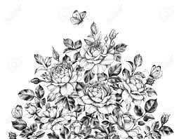 Maybe you would like to learn more about one of these? Hand Drawn Rose Bush And Flying Butterfly Isolated On White Background Stock Photo Picture And Royalty Free Image Image 120611271