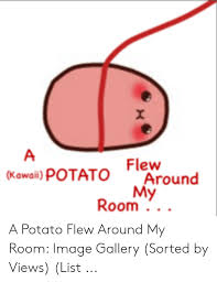 Stream a potato flew around my room (remix) by harryredz from desktop or your mobile device. A Potato Flew Around My Room A Potato Flew Around My Room By Shubbleninja On Deviantart Select From A Wide Range Of Models Decals Meshes Plugins Or Audio That Help