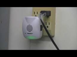 If your pet is the hamster or any similar species related to rodents. Product Review Hoont Indoor Plug In Ultrasonic Pest Repeller Youtube