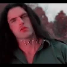 Springer Peter Wriggers