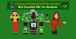 One of the most popular essential oils, lavender, is actually wonderful for relieving migraines. What Essential Oil Helps With Headaches Organic Essential Oils