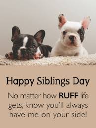 Funny brother and sister quotes. Happy Siblings Day Wishes With Images And Pictures Birthday Wishes And Messages By Davia