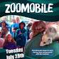 Utica Zoomobile- Raquette Lake