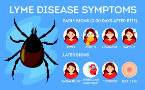 Lyme Disease Stem Cell Treatment Swiss Medica