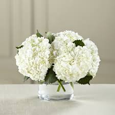 We did not find results for: Wedding Centerpieces 5 Stems Hydrangea Flowers